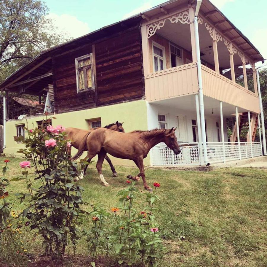 Guest House Lailashi Surmushi Exteriör bild